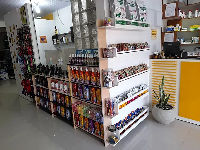 Prateleiras com shampoos, petiscos e coleiras ao lado do balcão