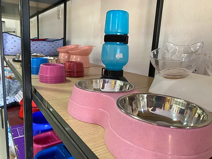 Comedouros duplos, tigelas coloridas e bebedouro portátil na prateleira